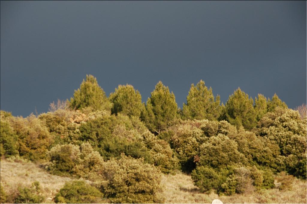 Ste_Baume_2  35
