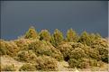 Ste_Baume_2  35
