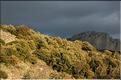 Ste_Baume_2  36