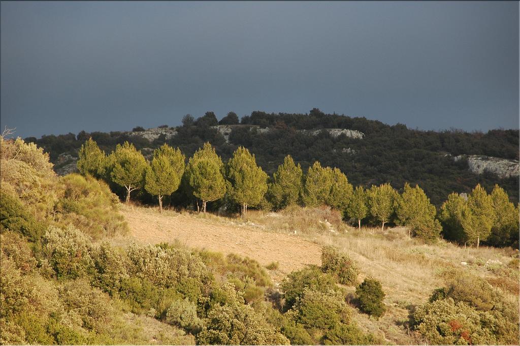 Ste_Baume_2  39