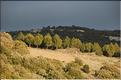 Ste_Baume_2  39