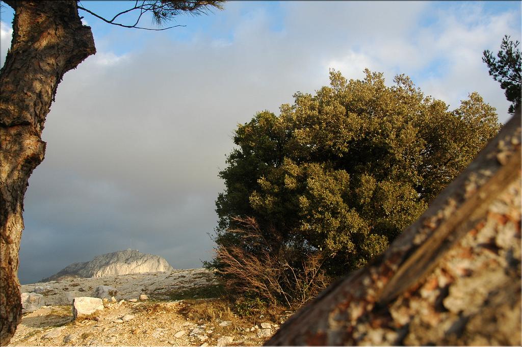 Ste_Baume_2  42