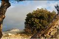 Ste_Baume_2  42