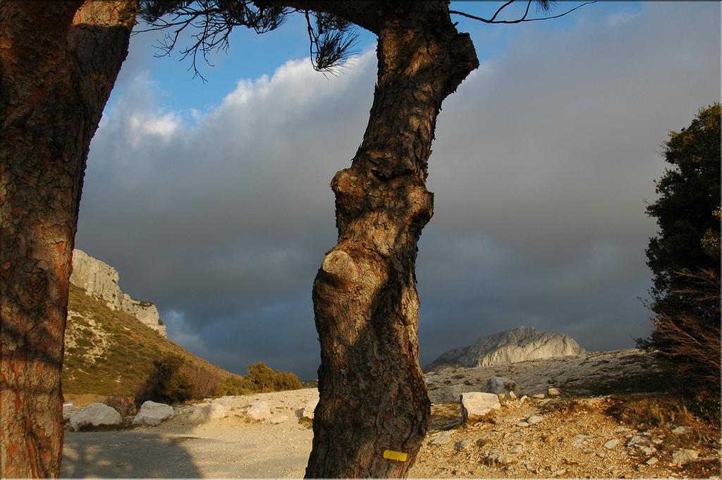 Ste_Baume_2  43