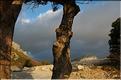 Ste_Baume_2  43