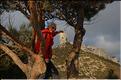 Ste_Baume_2  45