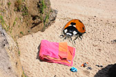 Après le bain, le bronzage.