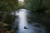 La Vienne en aval d'Eymoutiers